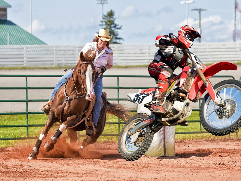 https://dirtbikeland.com/what-is-more-dangerous-motocross-or-horseback-riding/