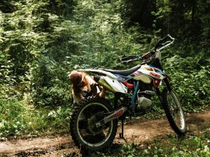 Dirt Bike Losing Power When Accelerating: Let’s Find Out