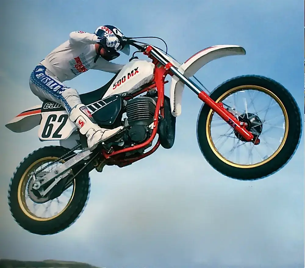 famous freestyle motocross riders